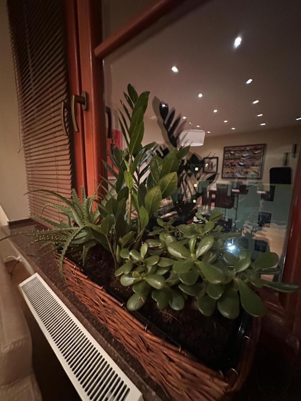 Apartament Josefina Polanica-Zdrój Exteriér fotografie